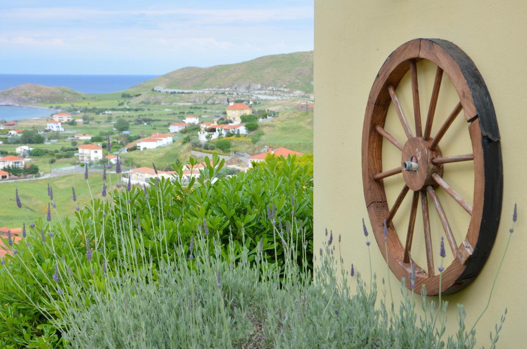 Hotel Dina - Ξενοδοχείο Ντινα Плати Экстерьер фото
