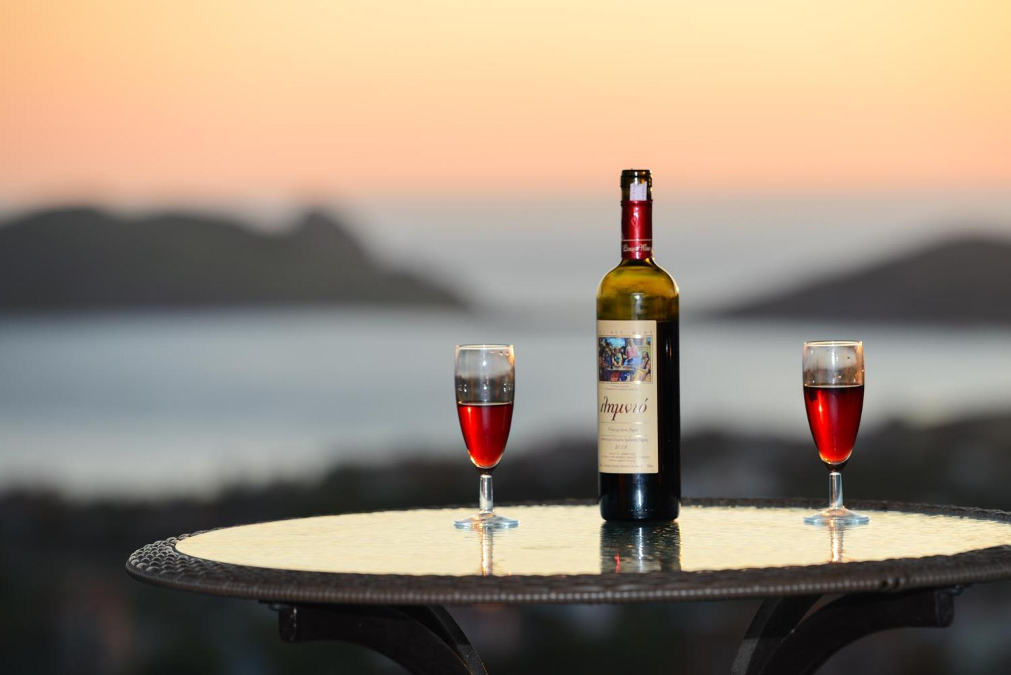 Hotel Dina - Ξενοδοχείο Ντινα Плати Экстерьер фото