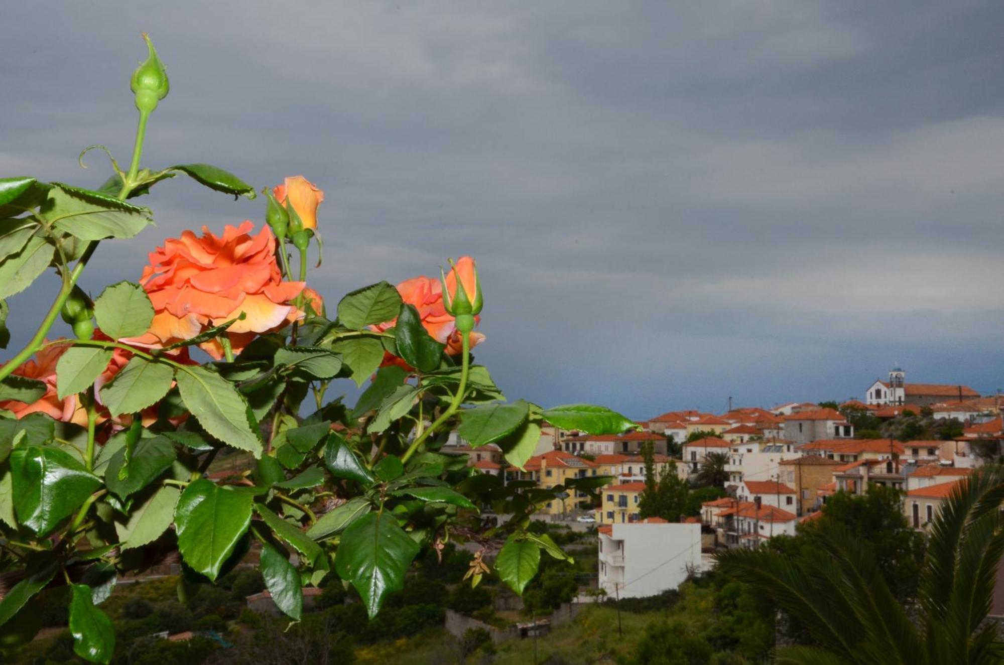Hotel Dina - Ξενοδοχείο Ντινα Плати Экстерьер фото