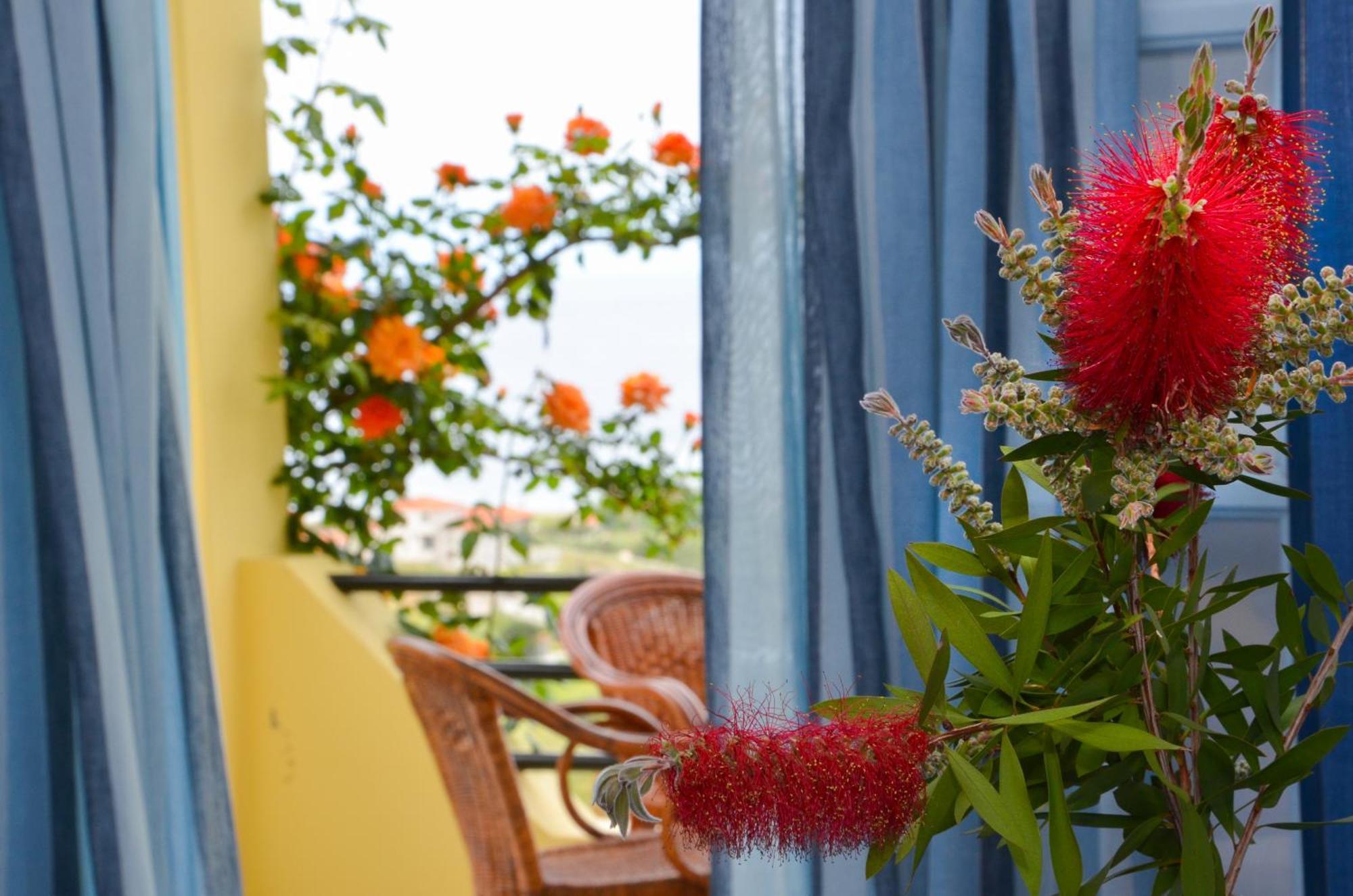 Hotel Dina - Ξενοδοχείο Ντινα Плати Экстерьер фото